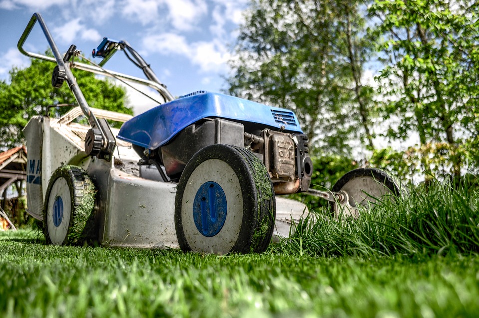 Comment concevoir votre jardin facilement ?