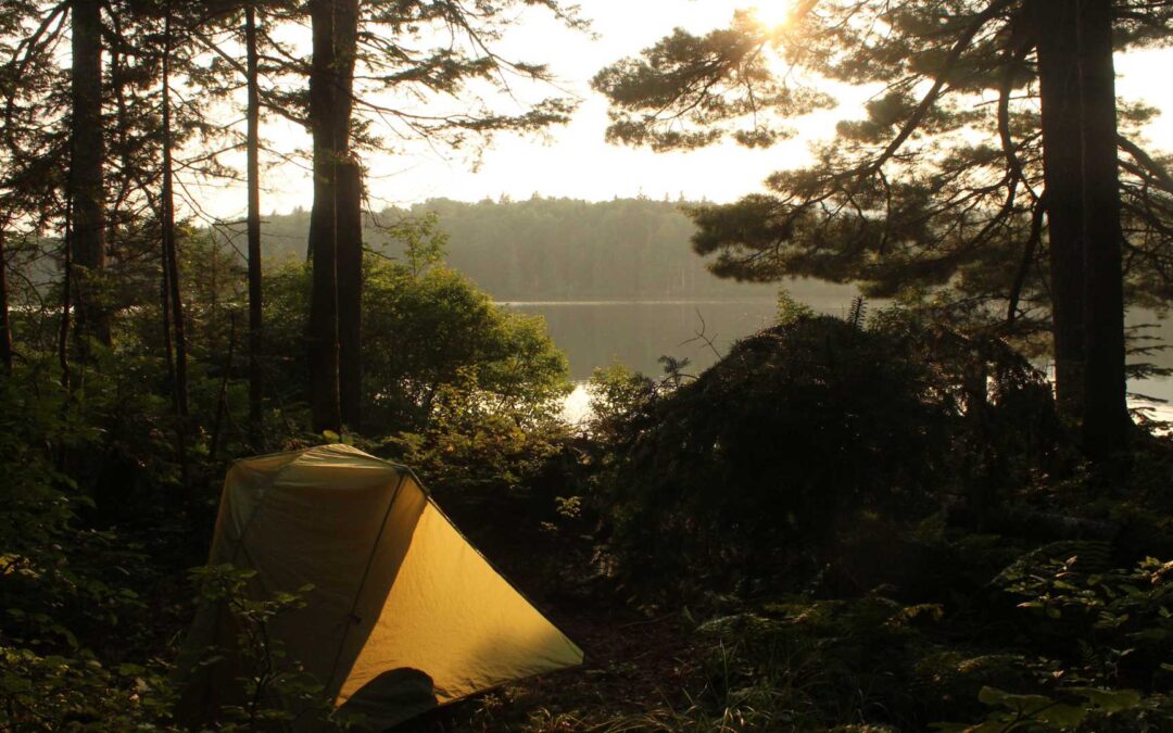Les meilleurs spots pour faire du camping sauvage : découvrez des endroits préservés et pittoresques